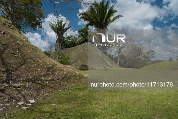 Altun Ha is occupied for many centuries, from about 900 B.C. to A.D. 1000. Most of the information on Altun Ha comes from the Classic Period...