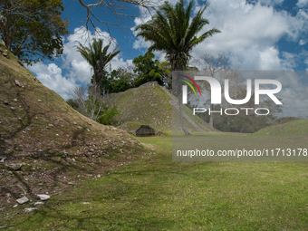 Altun Ha is occupied for many centuries, from about 900 B.C. to A.D. 1000. Most of the information on Altun Ha comes from the Classic Period...