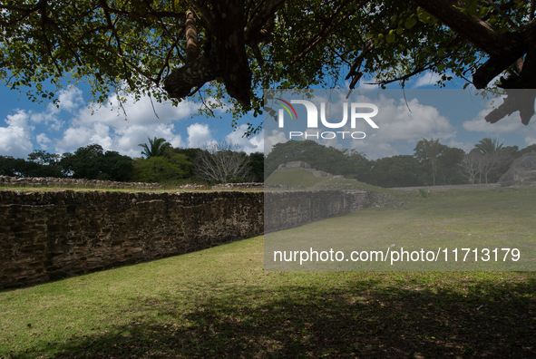 Altun Ha is occupied for many centuries, from about 900 B.C. to A.D. 1000. Most of the information on Altun Ha comes from the Classic Period...