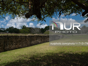 Altun Ha is occupied for many centuries, from about 900 B.C. to A.D. 1000. Most of the information on Altun Ha comes from the Classic Period...