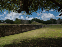 Altun Ha is occupied for many centuries, from about 900 B.C. to A.D. 1000. Most of the information on Altun Ha comes from the Classic Period...