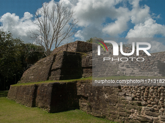 Altun Ha is occupied for many centuries, from about 900 B.C. to A.D. 1000. Most of the information on Altun Ha comes from the Classic Period...