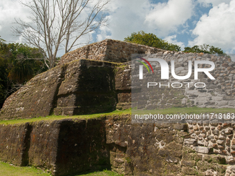 Altun Ha is occupied for many centuries, from about 900 B.C. to A.D. 1000. Most of the information on Altun Ha comes from the Classic Period...