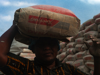 Porters load sacks of cement at the port of Belawan for the USU Residence III housing complex in Patumbak, Deli Serdang, North Sumatra, on O...