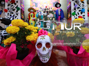 Cardboard skulls are seen during the ''Tecuan Tlaloc'' exhibition, a project of The Jaen Cartoneria collective, in honor of the God Tlaloc a...