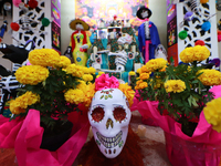 Cardboard skulls are seen during the ''Tecuan Tlaloc'' exhibition, a project of The Jaen Cartoneria collective, in honor of the God Tlaloc a...