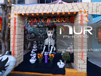 Cardboard skulls are seen during the ''Tecuan Tlaloc'' exhibition, a project of The Jaen Cartoneria collective, in honor of the God Tlaloc a...