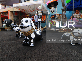 Cardboard skulls are seen during the ''Tecuan Tlaloc'' exhibition, a project of The Jaen Cartoneria collective, in honor of the God Tlaloc a...