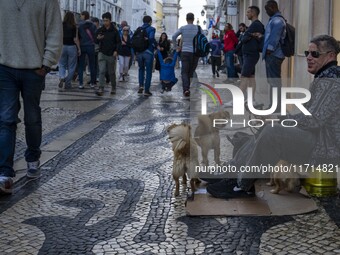 A person with several dogs begs for money on a street in the Baixa district in Lisbon, Portugal, on October 27, 2024. (