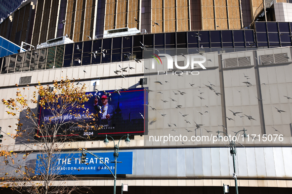 Pigeons fly past a sign outside of Madison Square Garden in New York, New York on October 27, 2024 as former President Donald Trump holds  a...