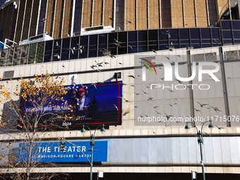 Pigeons fly past a sign outside of Madison Square Garden in New York, New York on October 27, 2024 as former President Donald Trump holds  a...