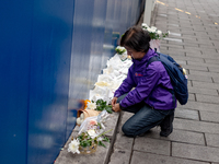 A bereaved family member places a flower after the billboard opening ceremony at the ''10.29 Path of Remembrance and Safety'' in the Itaewon...