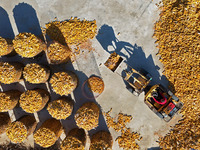 Farmers load dried corn into a grain depot in Yantai, China, on October 28, 2024. (