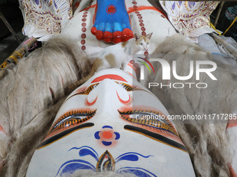 A cat rests next to the feet of an idol of the Hindu goddess Kali inside a ''pandal'' (a temporary platform), a decorated structure, ahead o...