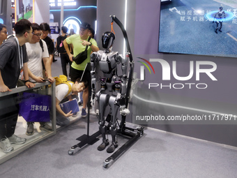 A Unitree robot dog and a model walk on the runway during Fashion Week in Shanghai, China, on October 27, 2024. (