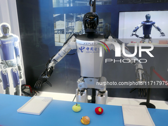 A Unitree robot dog and a model walk on the runway during Fashion Week in Shanghai, China, on October 27, 2024. (