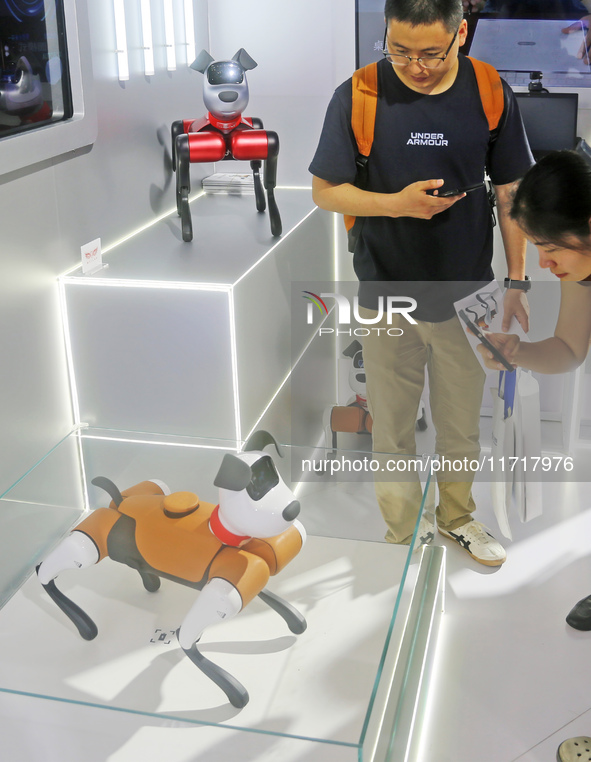 A Unitree robot dog and a model walk on the runway during Fashion Week in Shanghai, China, on October 27, 2024. 