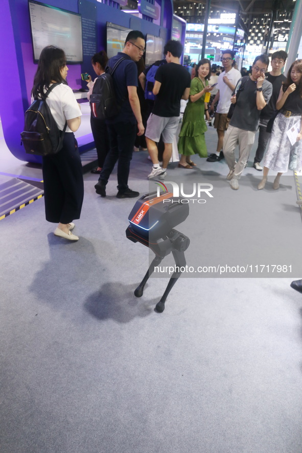 A Unitree robot dog and a model walk on the runway during Fashion Week in Shanghai, China, on October 27, 2024. 