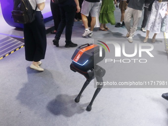 A Unitree robot dog and a model walk on the runway during Fashion Week in Shanghai, China, on October 27, 2024. (