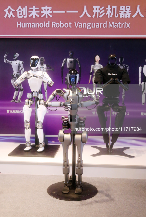 A Unitree robot dog and a model walk on the runway during Fashion Week in Shanghai, China, on October 27, 2024. 