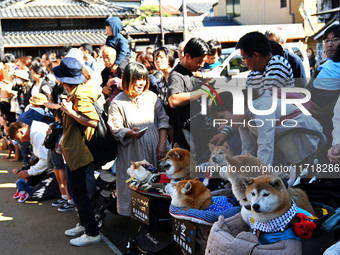 The scene of the ''Ueno Tenjin Festival'' takes place in Ueno Higashimachi, Iga City, Mie Prefecture, Japan, on October 20, 2024. Local peop...