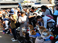 The scene of the ''Ueno Tenjin Festival'' takes place in Ueno Higashimachi, Iga City, Mie Prefecture, Japan, on October 20, 2024. Local peop...