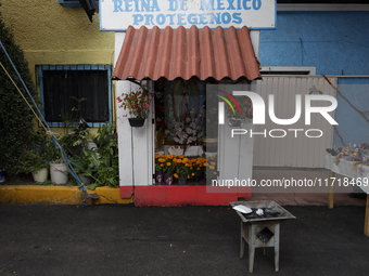 Residents of Santa Cecilia Tlahuac in Mexico City decorate public roads and houses on the eve of the Day of the Dead in Mexico City, on Octo...