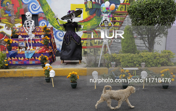 Residents of Santa Cecilia Tlahuac in Mexico City decorate public roads and houses on the eve of the Day of the Dead in Mexico City, on Octo...