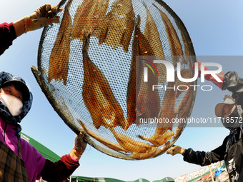 Fishermen dry fish at the fishing port of Xiliandao village in Lianyungang, China, on October 29, 2024. (