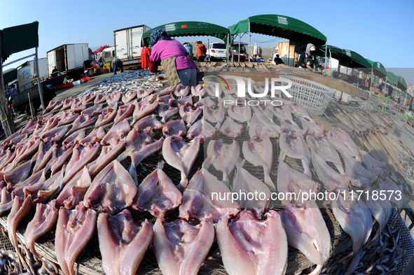 Fishermen dry fish at the fishing port of Xiliandao village in Lianyungang, China, on October 29, 2024. 