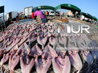 Fishermen dry fish at the fishing port of Xiliandao village in Lianyungang, China, on October 29, 2024. (