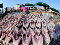 Fishermen dry fish at the fishing port of Xiliandao village in Lianyungang, China, on October 29, 2024. (