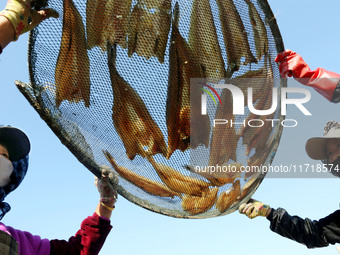 Fishermen dry fish at the fishing port of Xiliandao village in Lianyungang, China, on October 29, 2024. (