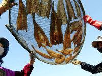 Fishermen dry fish at the fishing port of Xiliandao village in Lianyungang, China, on October 29, 2024. (