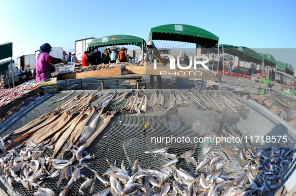 Fishermen dry fish at the fishing port of Xiliandao village in Lianyungang, China, on October 29, 2024. 