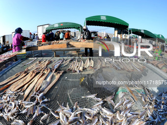 Fishermen dry fish at the fishing port of Xiliandao village in Lianyungang, China, on October 29, 2024. (