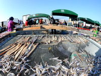 Fishermen dry fish at the fishing port of Xiliandao village in Lianyungang, China, on October 29, 2024. (