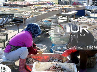 Fishermen dry fish at the fishing port of Xiliandao village in Lianyungang, China, on October 29, 2024. (