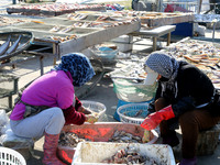 Fishermen dry fish at the fishing port of Xiliandao village in Lianyungang, China, on October 29, 2024. (