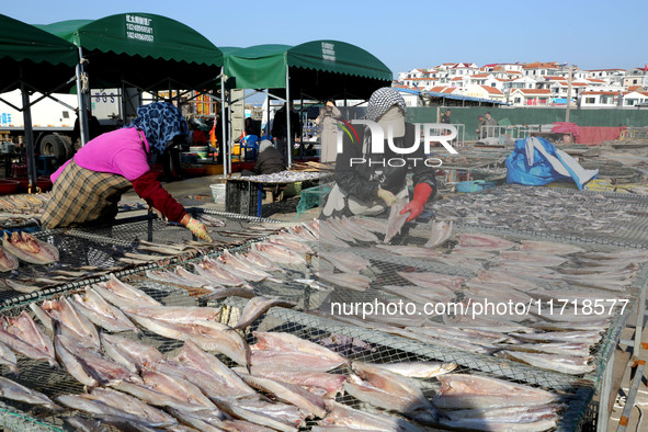 Fishermen dry fish at the fishing port of Xiliandao village in Lianyungang, China, on October 29, 2024. 