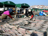 Fishermen dry fish at the fishing port of Xiliandao village in Lianyungang, China, on October 29, 2024. (