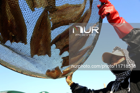 Fishermen dry fish at the fishing port of Xiliandao village in Lianyungang, China, on October 29, 2024. 