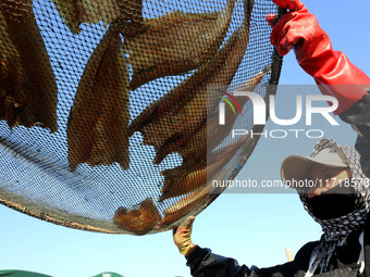 Fishermen dry fish at the fishing port of Xiliandao village in Lianyungang, China, on October 29, 2024. (