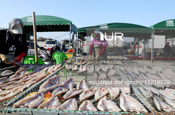 Fishermen dry fish at the fishing port of Xiliandao village in Lianyungang, China, on October 29, 2024. 