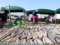 Fishermen dry fish at the fishing port of Xiliandao village in Lianyungang, China, on October 29, 2024. (