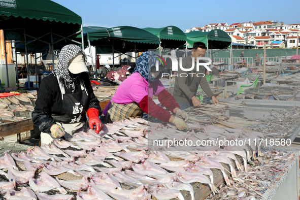 Fishermen dry fish at the fishing port of Xiliandao village in Lianyungang, China, on October 29, 2024. 