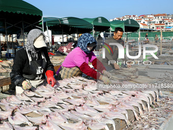 Fishermen dry fish at the fishing port of Xiliandao village in Lianyungang, China, on October 29, 2024. (