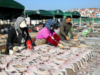 Fishermen dry fish at the fishing port of Xiliandao village in Lianyungang, China, on October 29, 2024. (