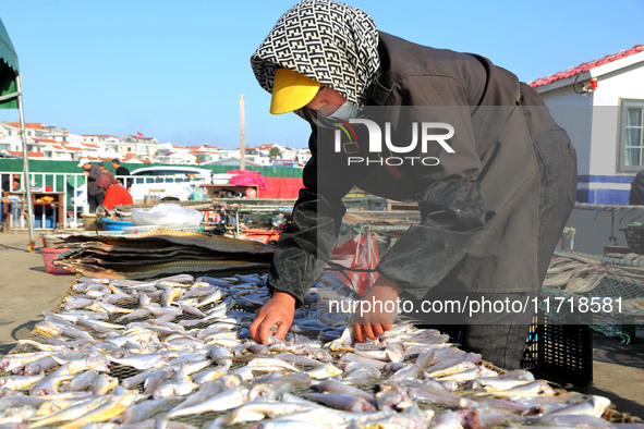 Fishermen dry fish at the fishing port of Xiliandao village in Lianyungang, China, on October 29, 2024. 