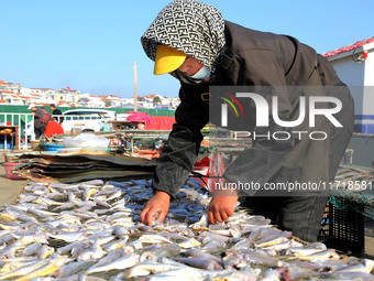 Fishermen dry fish at the fishing port of Xiliandao village in Lianyungang, China, on October 29, 2024. (